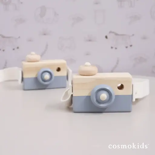 Camara de madera
